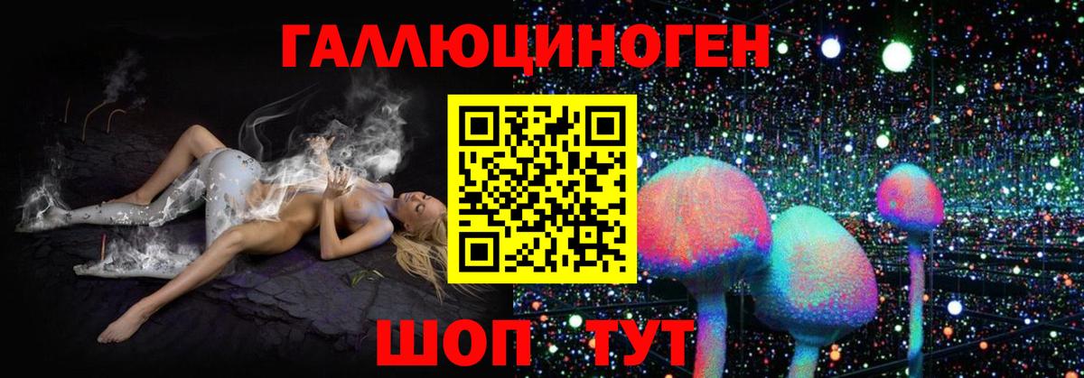 Псилоцибиновые грибы прущие грибы Иваново